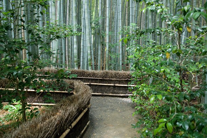 Arashiyama Bamboo Forest E-Biking Tour - Why an e-bike is a smart way to see Kyoto