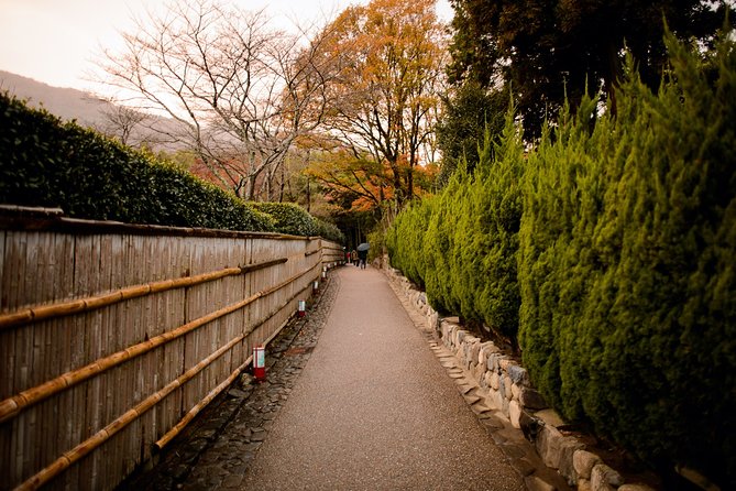 Arashiyama Bamboo Forest E-Biking Tour - Tōji-in’s moss and quiet temple grounds