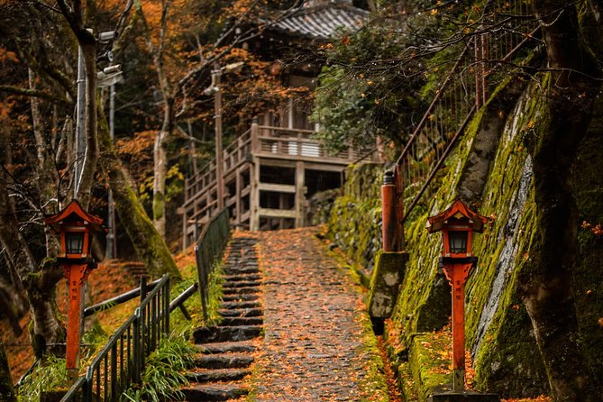 Arashiyama Bamboo Forest E-Biking Tour - The Arashiyama Bamboo Forest, with realistic expectations