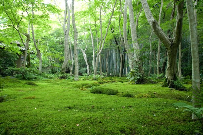 Arashiyama Bamboo Forest E-Biking Tour - The ride between the temples matters most