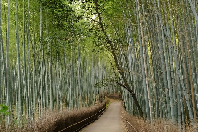 Arashiyama Bamboo Forest E-Biking Tour - What the $116 price includes