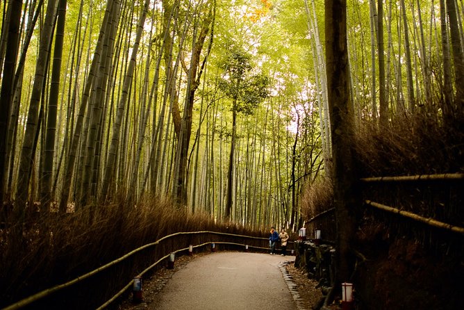Arashiyama Bamboo Forest E-Biking Tour - Starting at NORU Kyoto Bike Tours