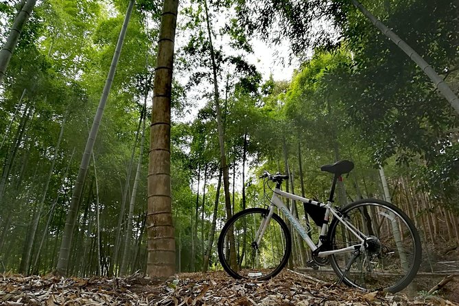 Arashiyama Bamboo Forest & Hidden Gems Bike Tour (Early Bird) - Guides who make the ride more than exercise
