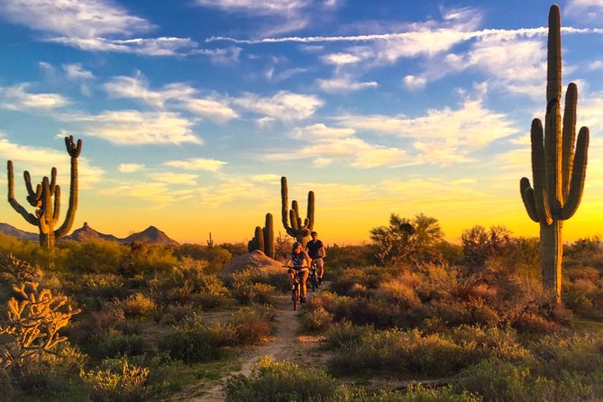 Arizona Desert Guided E-Bike Adventure - Key points to know before booking