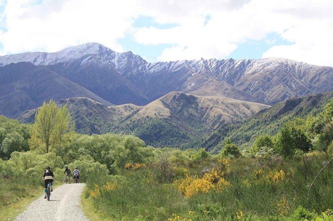 Arrowtown Mountain Bike Hire - Price and value at $52.75