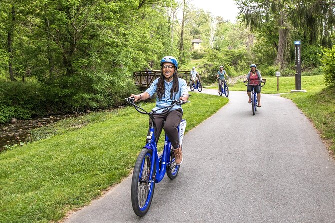 Asheville Historic Downtown Guided Electric Bike Tour with Scenic Views - Grove Arcade and the Story of Old Asheville