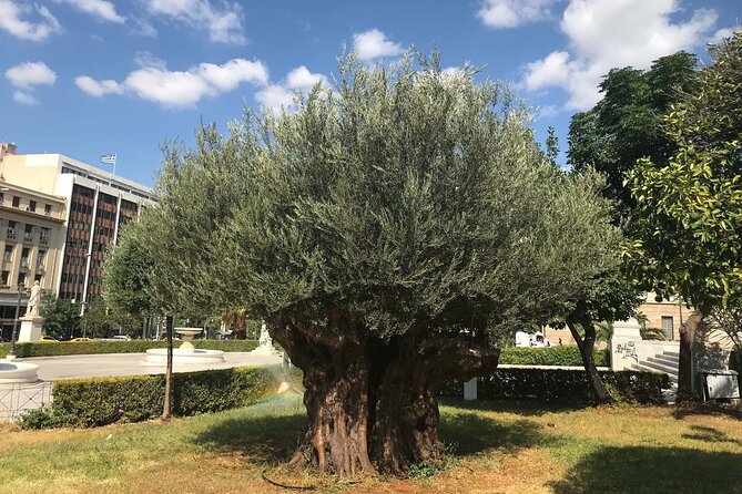 Athens by E-Bike: Monuments, Food & Transfers (Cruise Tour) - Mars Hill and the view over Athens