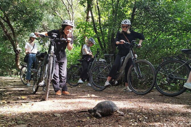Athens Small Group E-Bike Tour - Kerameikos and the Ancient Agora route
