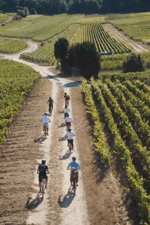 Au départ de REIMS : Ebike tour with a local guide ! - Is $147 a fair price?