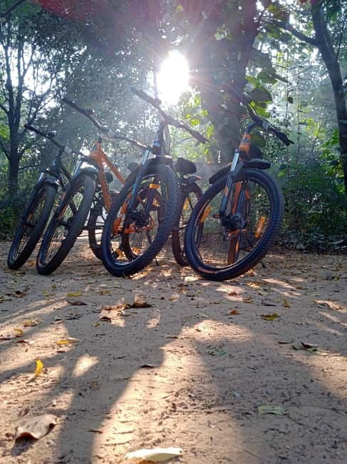 Auroville: Nature Trail Forest Cycling Adventure - Why this forest outing is worth your time
