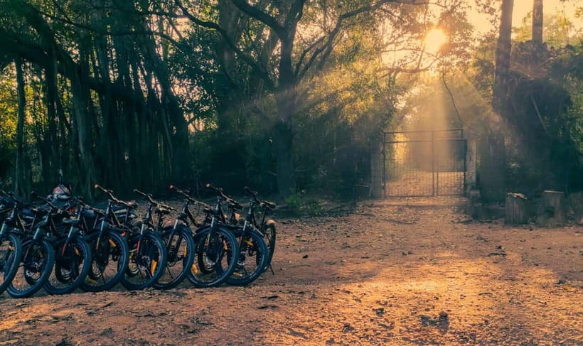 Auroville: Nature Trail Forest Cycling Adventure - Starting at the blue shed behind KK Greenland farmhouse