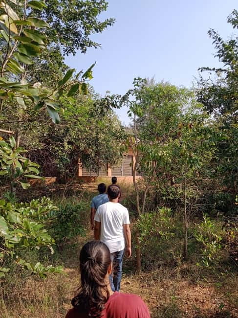 Auroville: Nature Trail Forest Cycling Adventure - The 90-minute forest walk