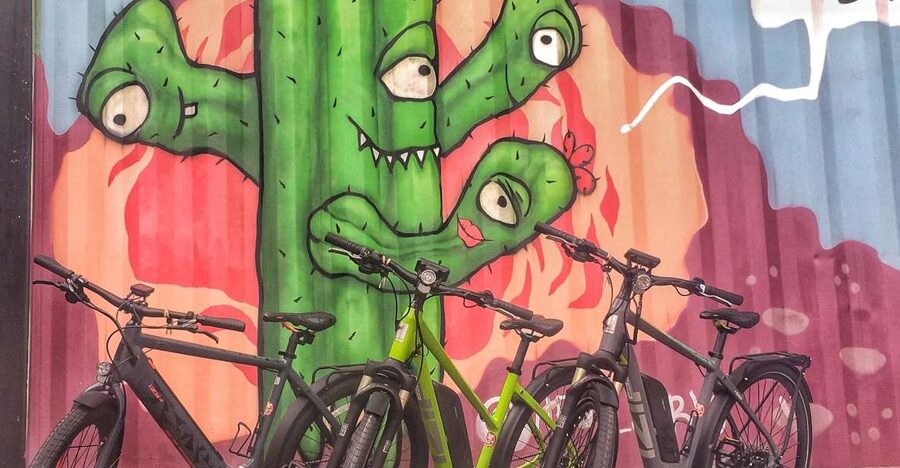 Austin: Electric Bike City Sightseeing Tour - Why an e-bike is a smart way to see Austin