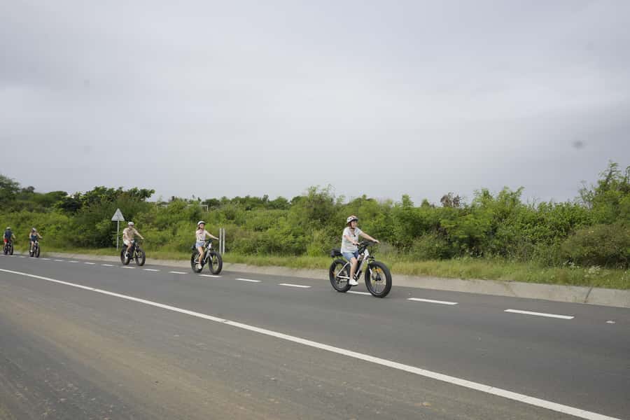 Authentic North East Coast E-bike Guided Tour - Mangroves, oyster farming, and island wildlife