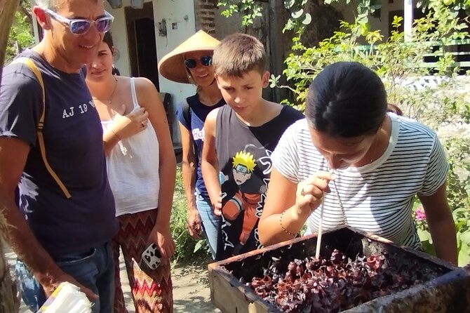 Authentic Yogya Bicycle Tour - Stingless bees and a sweet final stop