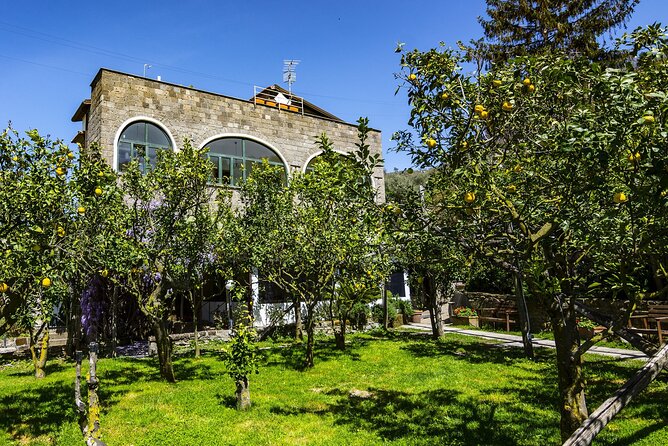 Backroads & Limoncello Experience: Sorrento E-Bike Tour - Key points to know before you pedal