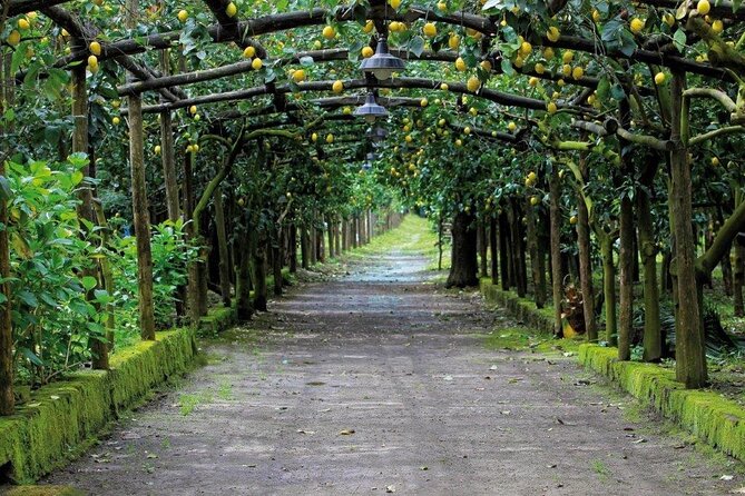Backroads & Limoncello Experience: Sorrento E-Bike Tour - Timing, meeting point, and weather