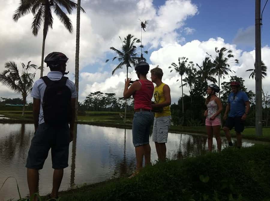 Bali Downhill Cultural Cycling Tour - Three and a half hours on the bike
