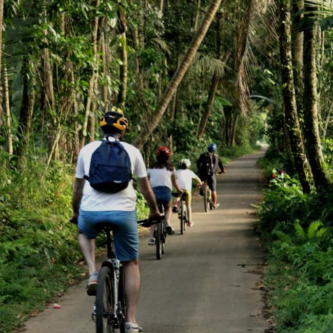 Bali: Kintamani Downhill Bike Tour, Jungle and Waterfalls - Key points before you book