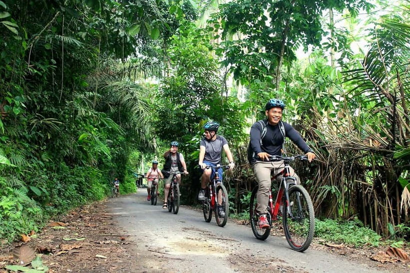 Bali: Kintamani Downhill Bike Tour, Jungle and Waterfalls - Coffee, bamboo, and the quieter side of Bali