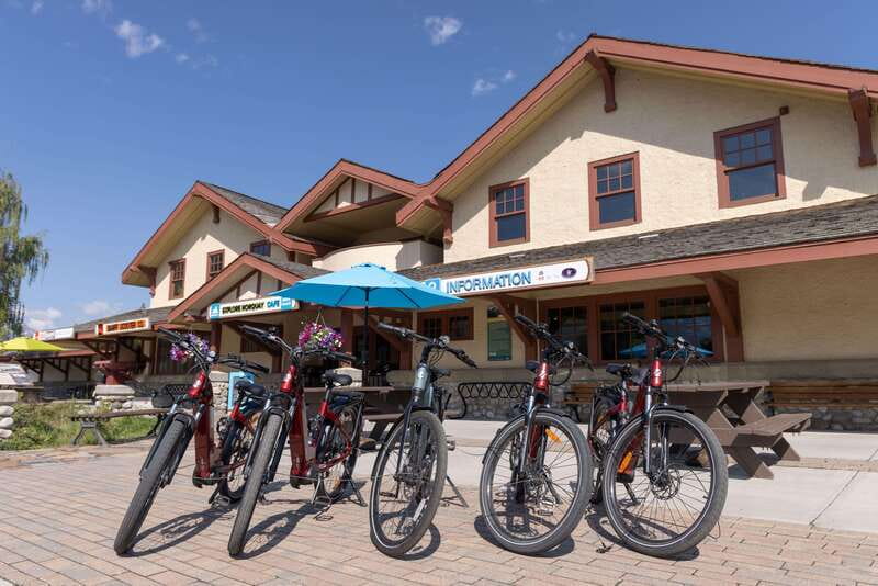 Banff: Mountain Lakeside Guided E-Bike Tour - Wildlife without the pressure of a wildlife tour
