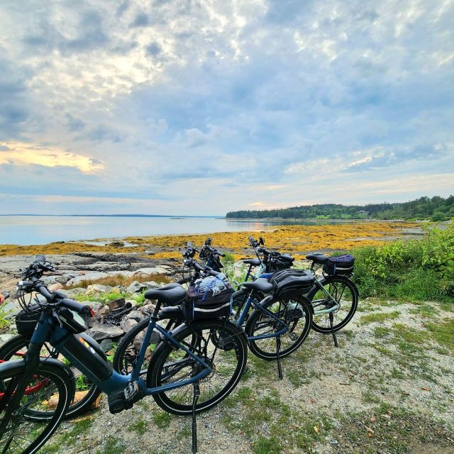 Bar Harbor: Acadia National Park Carriage Roads Ebike Tour - Key points to know before booking