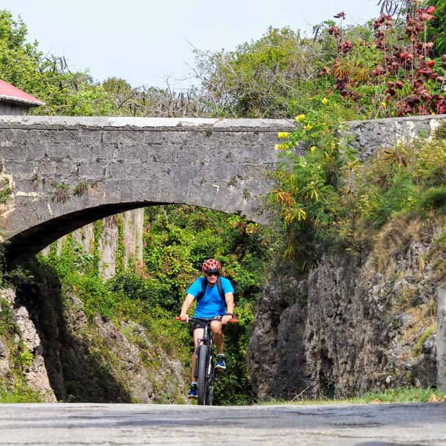 Barbados: Rural Tracks and Trails Guided E-Bike Tour - A working countryside stop at PEG Farm