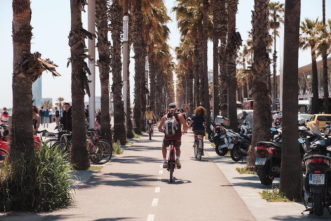 Barcelona 3-hour Bike or E-Bike Tour: Highlights and Hidden Gems - Twenty minutes in Parc de la Ciutadella