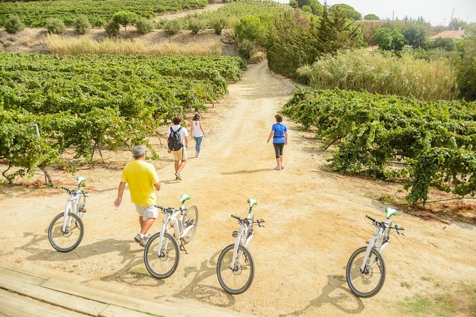 Barcelona eBike Beach Private Tour to Vineyards & Picnic - Taking the bikes onto the train