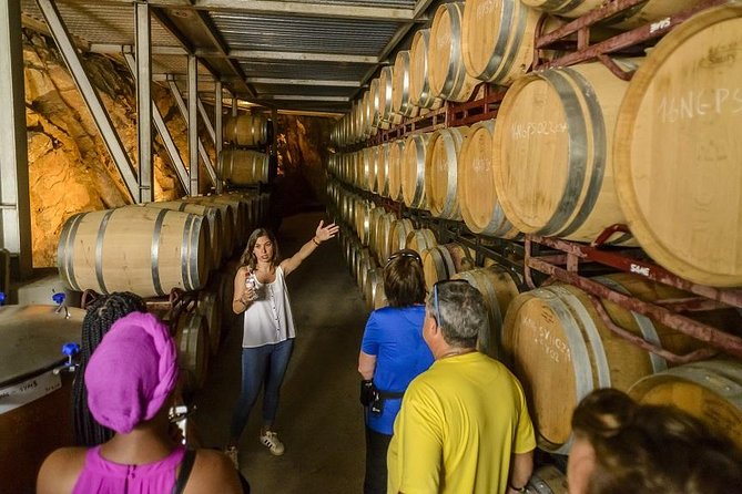Barcelona eBike Beach Private Tour to Vineyards & Picnic - Is $302.33 per person fair?