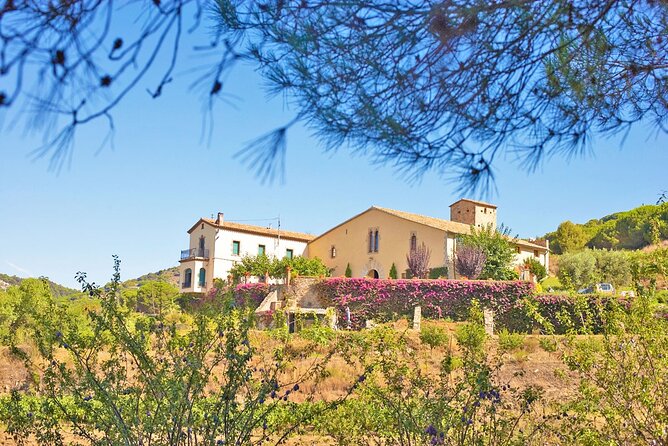 Barcelona eBike Beach Private Tour to Vineyards & Picnic - Who should book this ride?