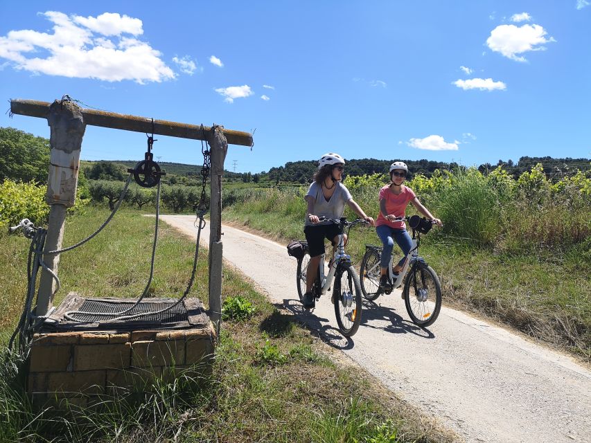 Barcelona: Guided Half-Day Wine and Electric Bike Tour - Should you book the Penedès e-bike wine tour?