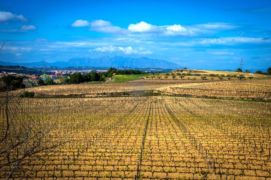 Barcelona: Guided Half-Day Wine and Electric Bike Tour - Leaving Barcelona for Penedès wine country