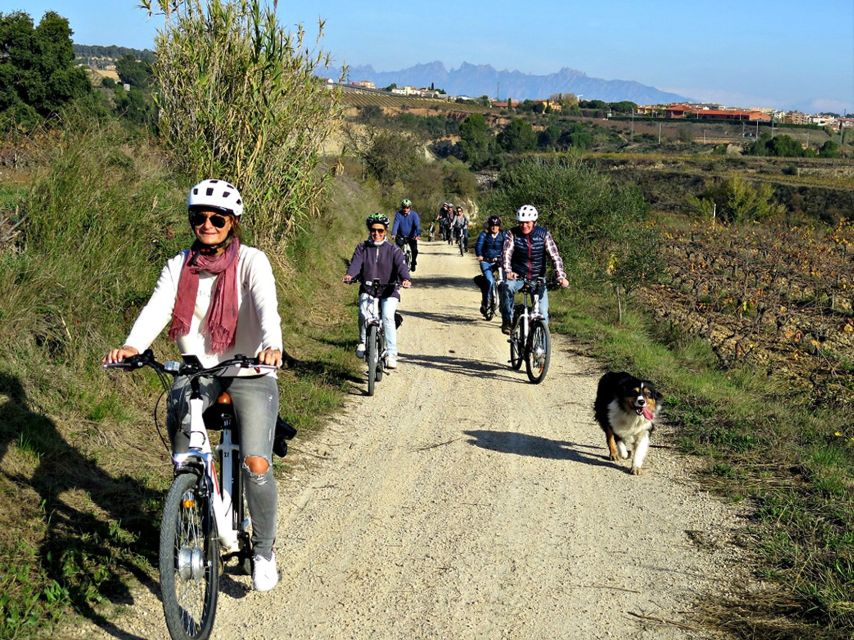 Barcelona: Guided Half-Day Wine and Electric Bike Tour - Riding through vineyards, forests, and village country
