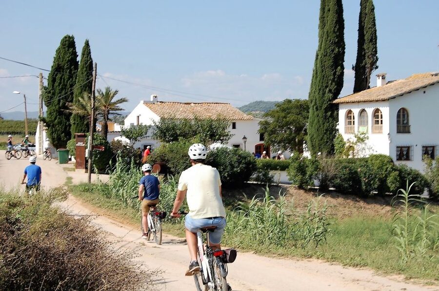 Barcelona: Guided Half-Day Wine and Electric Bike Tour - Tasting three glasses of local wine and cava