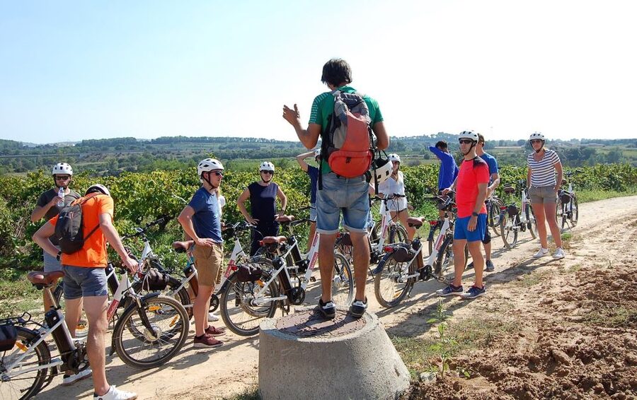 Barcelona: Guided Half-Day Wine and Electric Bike Tour - Why the $101 price can make sense