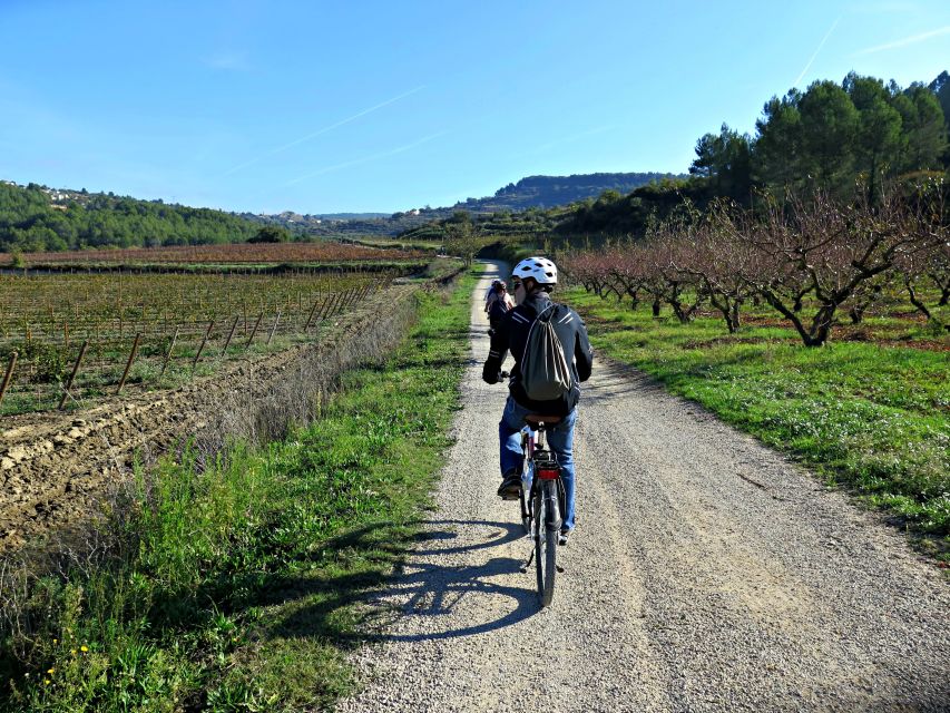 Barcelona: Guided Half-Day Wine and Electric Bike Tour - Who will enjoy this half-day outing