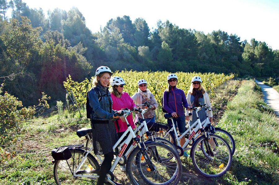 Barcelona: Guided Half-Day Wine and Electric Bike Tour - Practical details that can make the morning smoother
