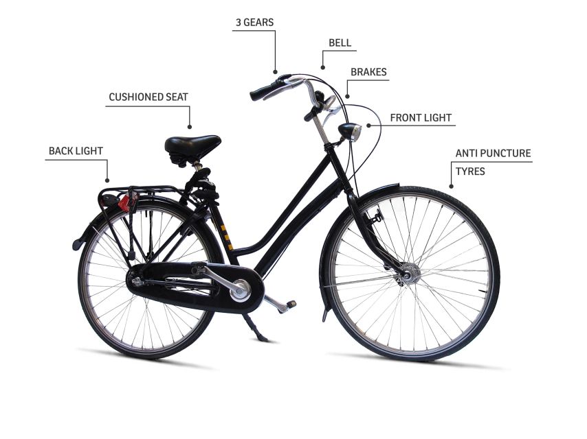 Barcelona Highlights Bike Tour: Cycle along the beach! - El Gat de Botero and Contemporary Barcelona