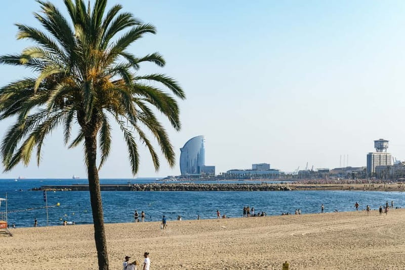 Barcelona: Sagrada Familia or City Tour by Bike or eBike - What the guides add