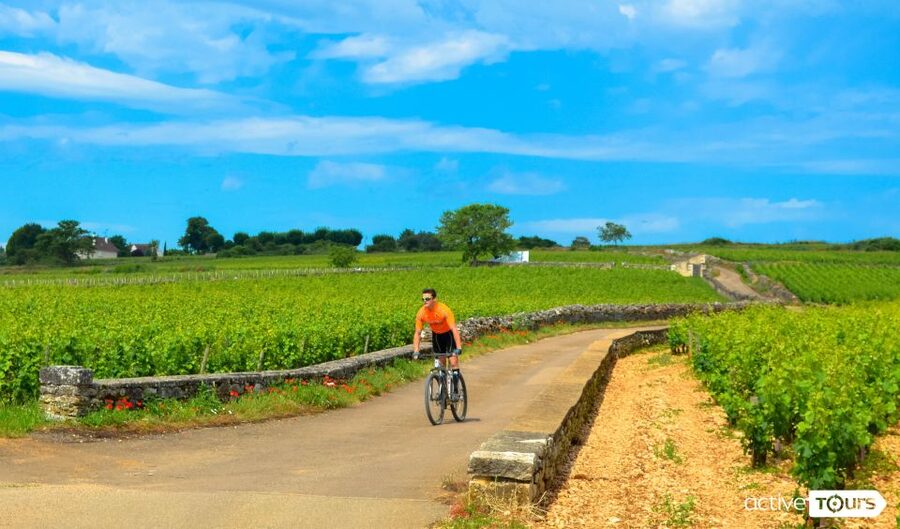 Beaune: Winery Tour by Bike with Wine Tasting - Pommard and the first vineyard views