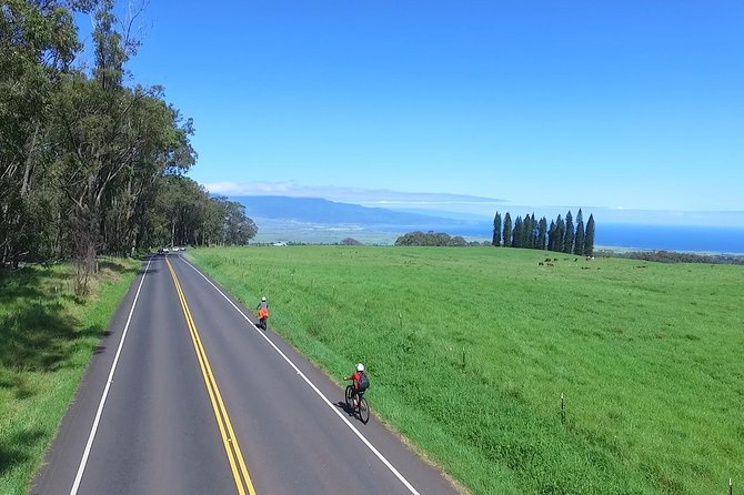 Best Haleakala Downhill Self-Guided Bike Tour with Maui Sunriders - Starting at 6,500 feet on Haleakalā