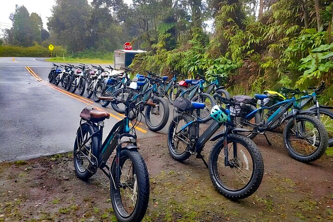 Big Island: Fat Tire E-Bike Tour through Volcanoes National Park - What the guides add