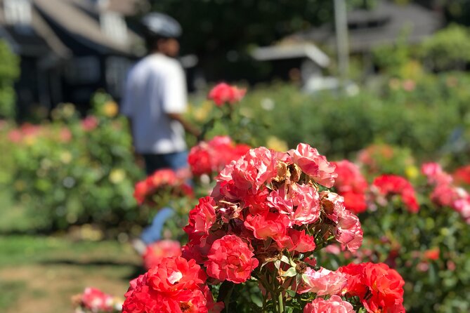 Bike Around Portland Oregon: Art, Culture, Bridges, Poetry - Hawthorne, Clinton Street, and local film culture