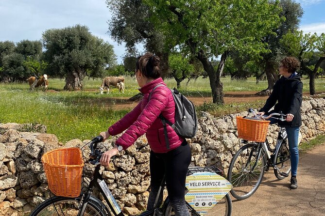 Bike Rental in Bari - How the cycling actually feels in Bari