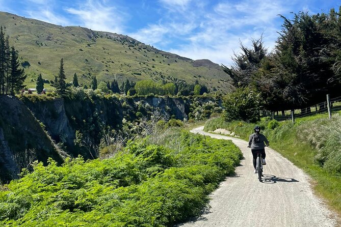 Bike & Wine Tour: Arrowtown to Valley of the Vines - Who should book this experience