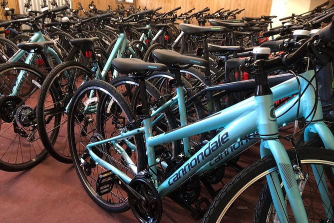 Brooklyn Neighborhoods Small-Group Bike Tour - What the guide adds to the ride
