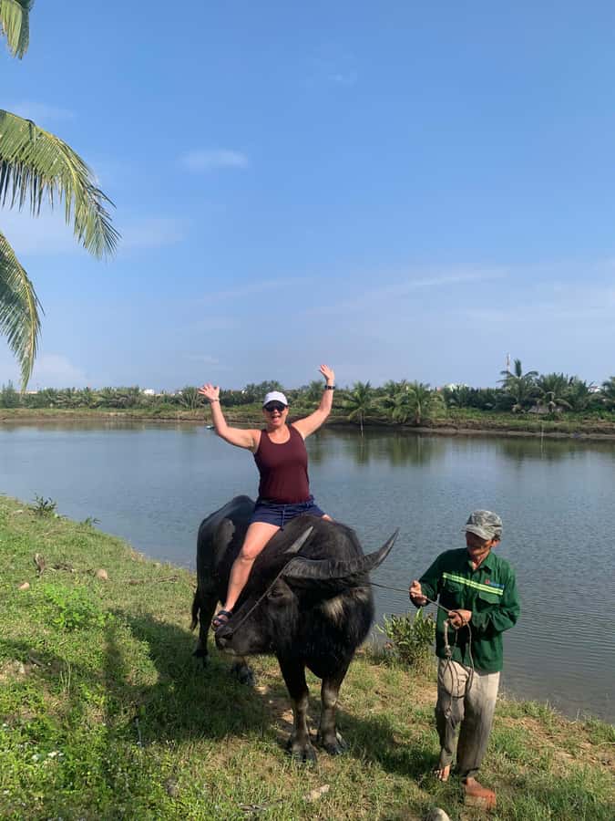 BUFFALO RIDING -BASKET BOAT & BIKE TOUR-HOI AN - Why the buffalo ride is the tour’s main draw
