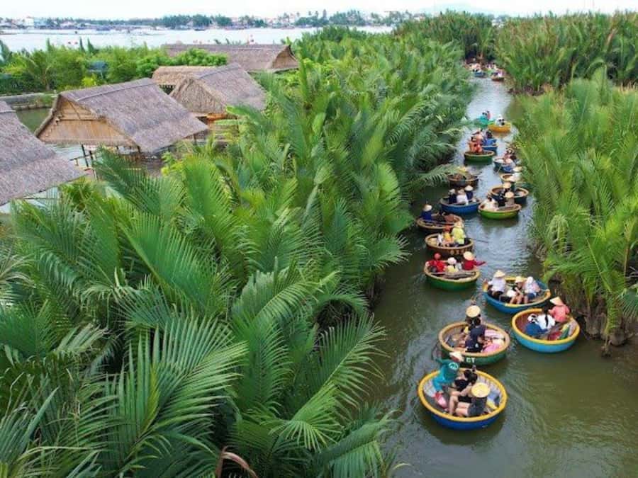 BUFFALO RIDING -BASKET BOAT & BIKE TOUR-HOI AN - Guides, group size, and the human side of the day