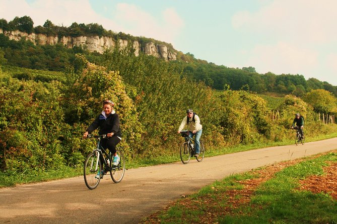 Burgundy Bike Tour with Wine Tasting from Beaune - Why a bicycle is the right way to see Burgundy